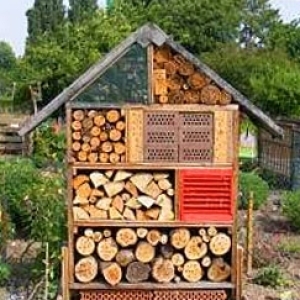 Gemeinschaftsgarten